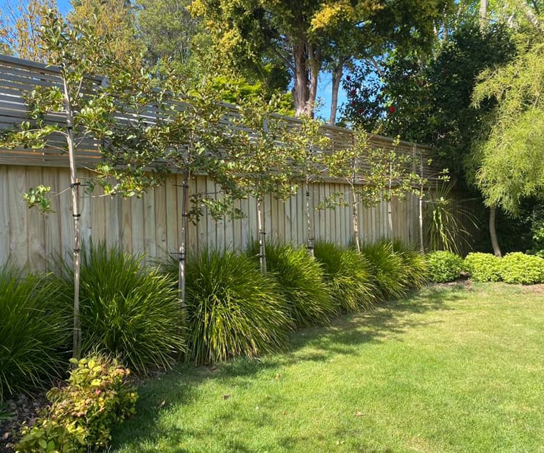 Garden consultations